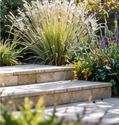Planting by garden steps